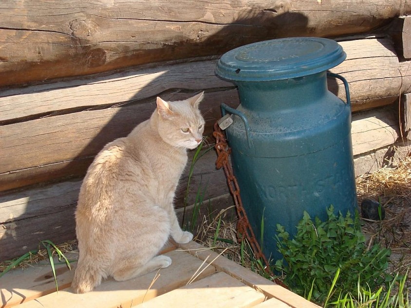 Stubbs, before he became 