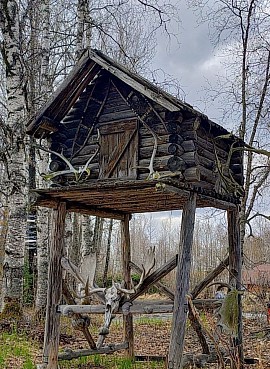 A Food Cache in Talkeetna